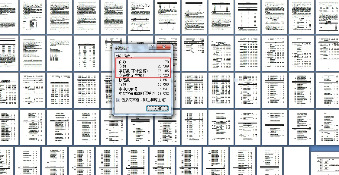 说明书页数字数